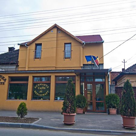 Pensiunea Schwartz Cluj-Napoca Extérieur photo