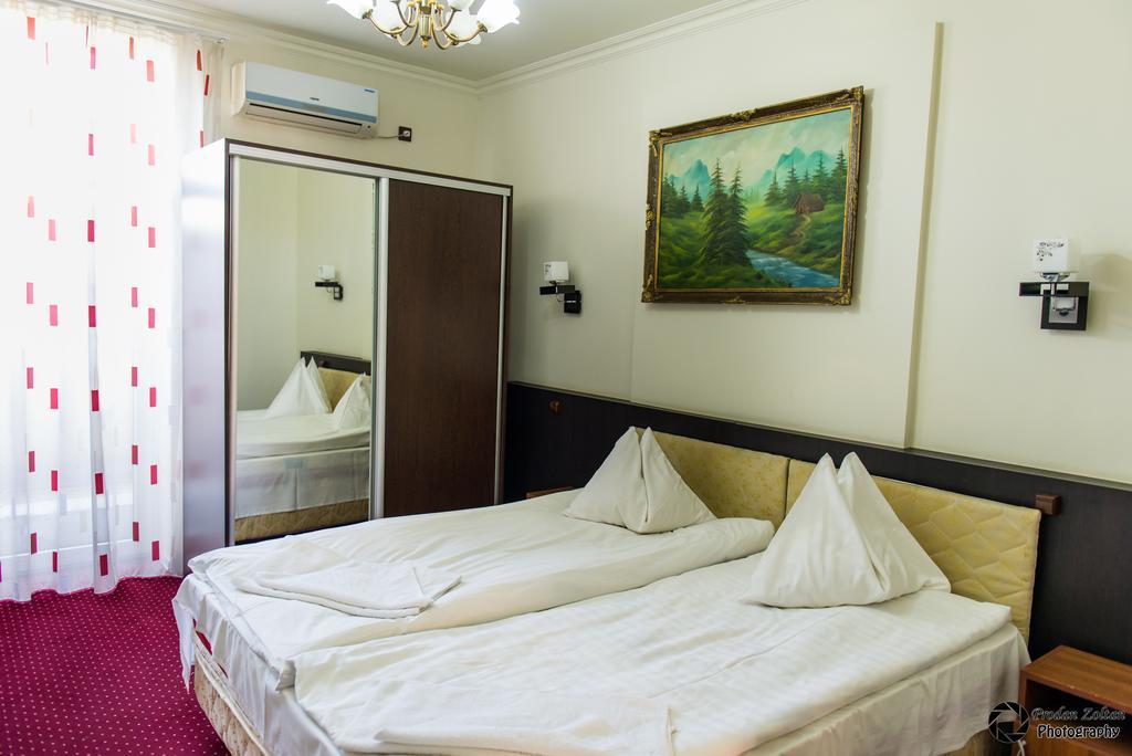 Pensiunea Schwartz Cluj-Napoca Extérieur photo