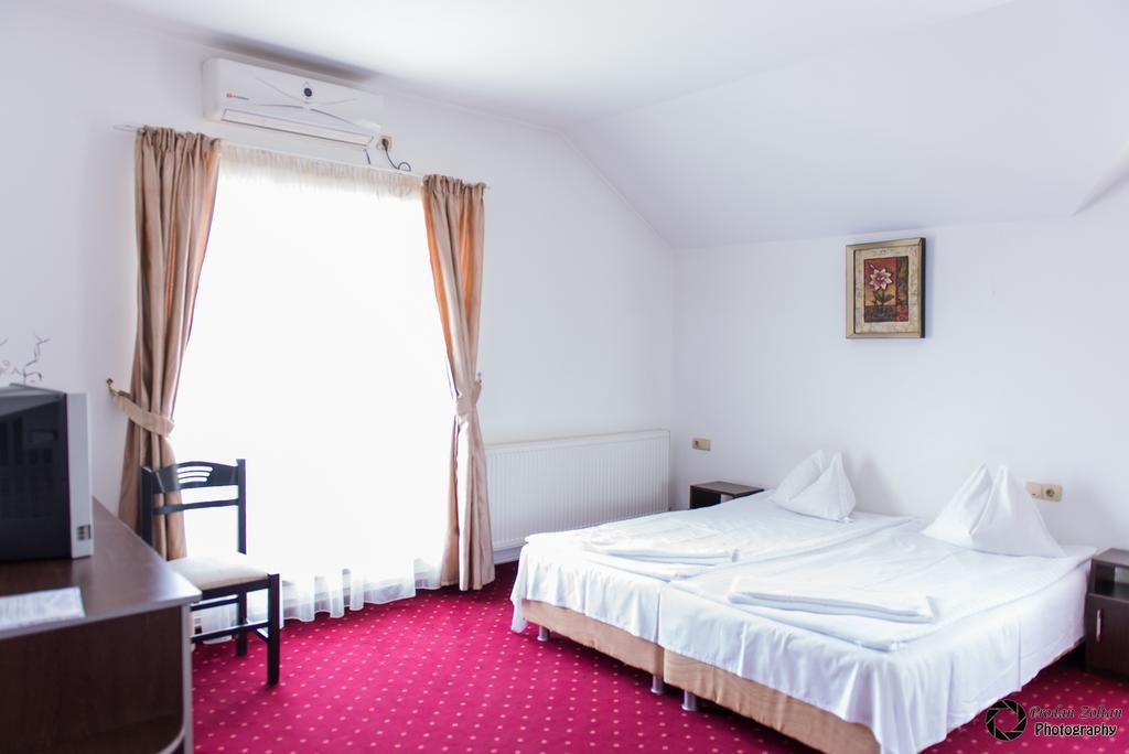 Pensiunea Schwartz Cluj-Napoca Extérieur photo