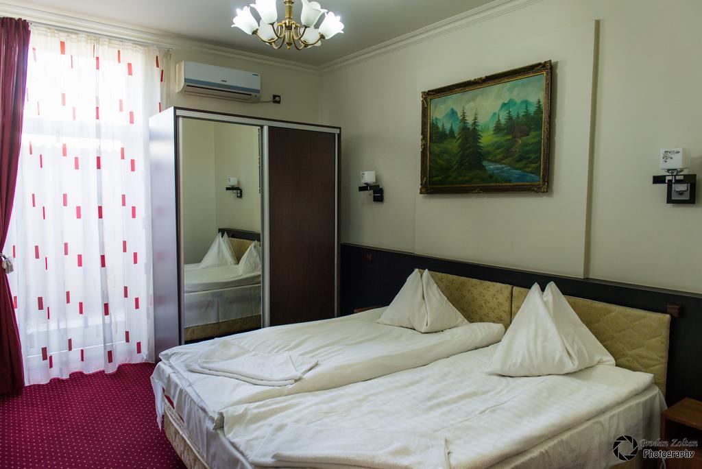 Pensiunea Schwartz Cluj-Napoca Extérieur photo