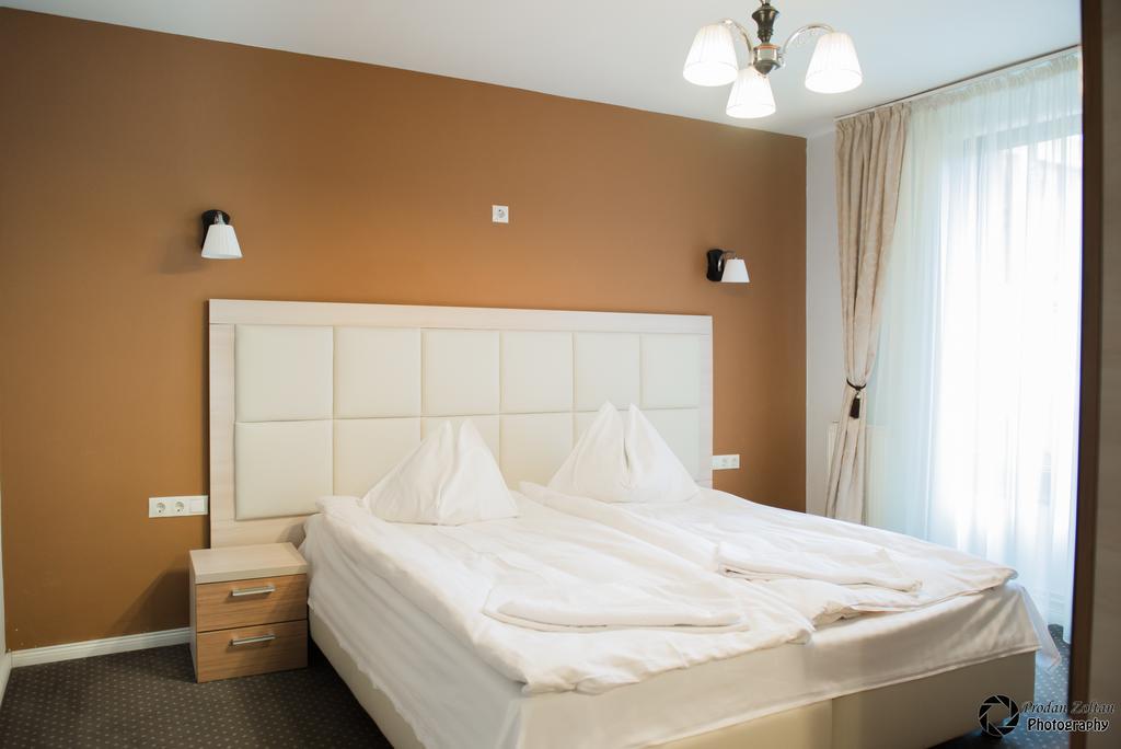 Pensiunea Schwartz Cluj-Napoca Extérieur photo