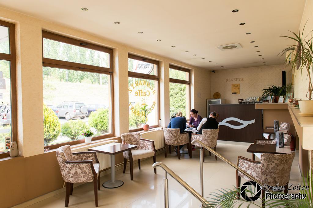 Pensiunea Schwartz Cluj-Napoca Extérieur photo