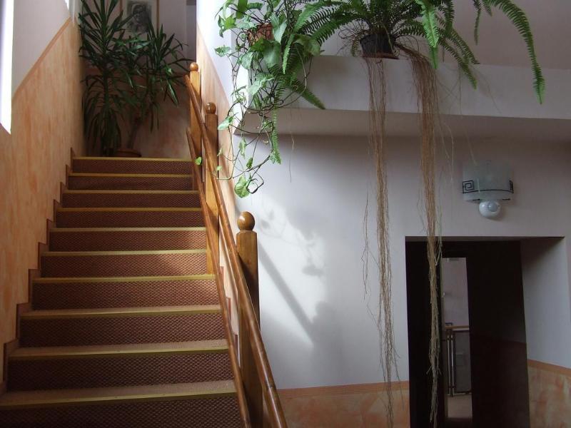 Pensiunea Schwartz Cluj-Napoca Extérieur photo